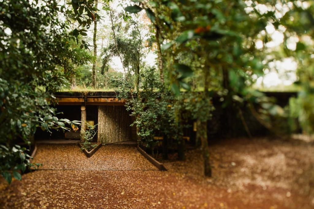 Huilo Huilo Nawelpi Lodge 富伊港 外观 照片